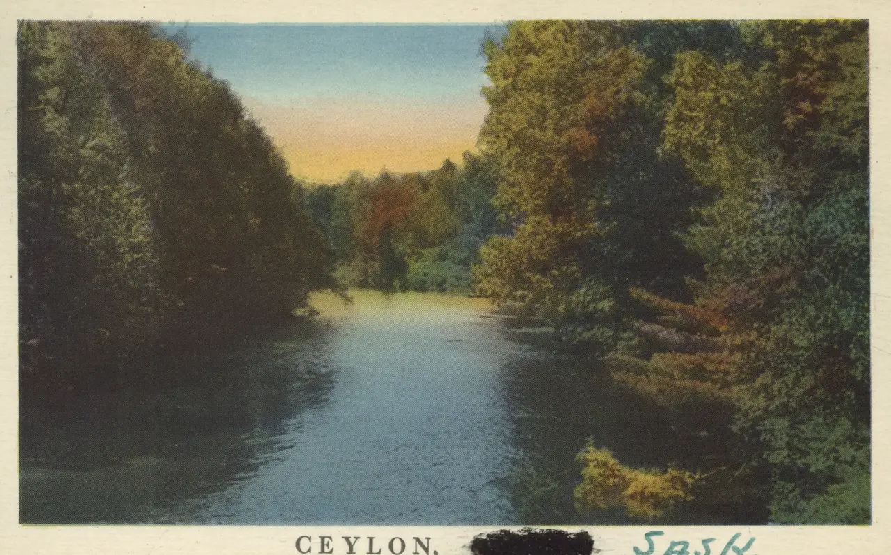 Wooded creek view, Ceylon, about 1944
