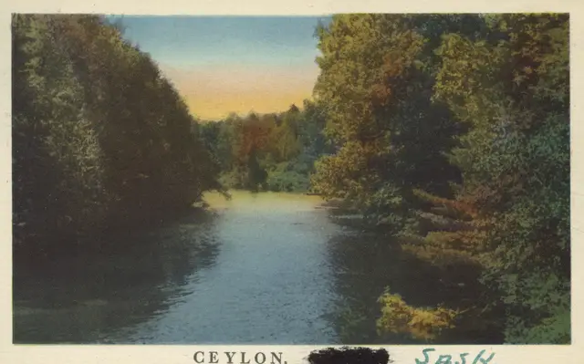 Wooded creek view, Ceylon